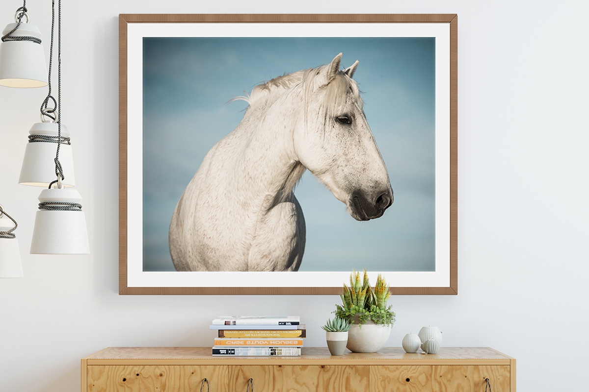 Artistic Horse Photography Perfect for Any Interior - Joseph Eta
